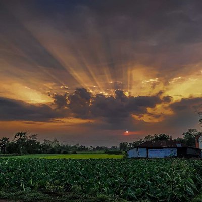 A beautiful sun set 