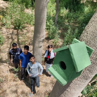 bird house 