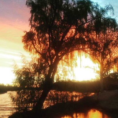atardecer. 😍