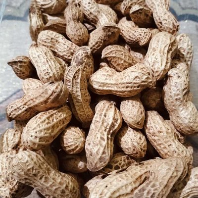 kacang tanah (peanuts)