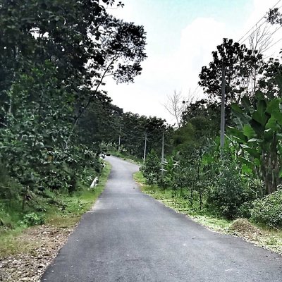 Jalan baru