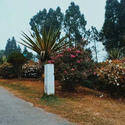 Flowers Garden At Delo Park