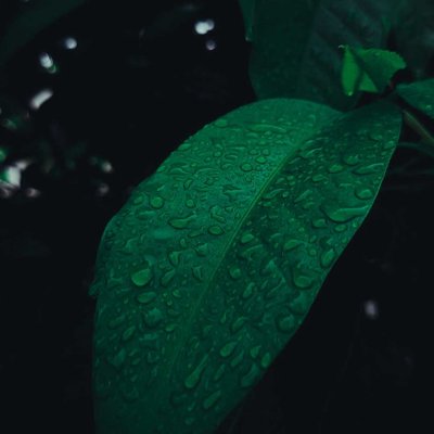 monsoon clicks