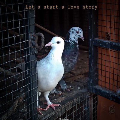 Love story💝