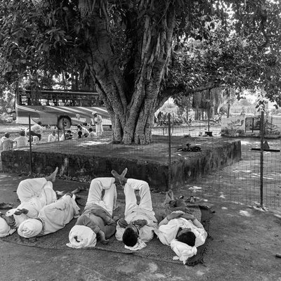  मित्रता का प्रतीक यह 5 मित्र 