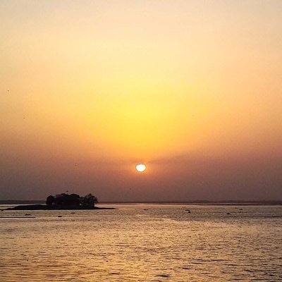 Landscape Sunset 