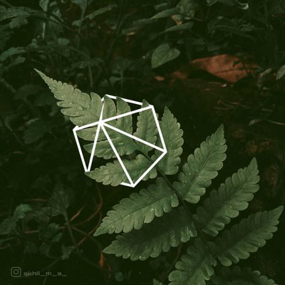 cage🔗