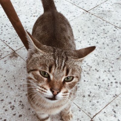 do not look at me like that