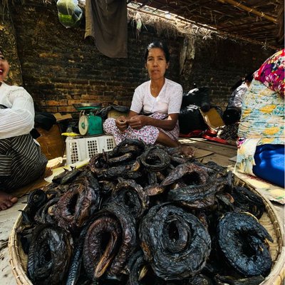 local dry eel sheller 
