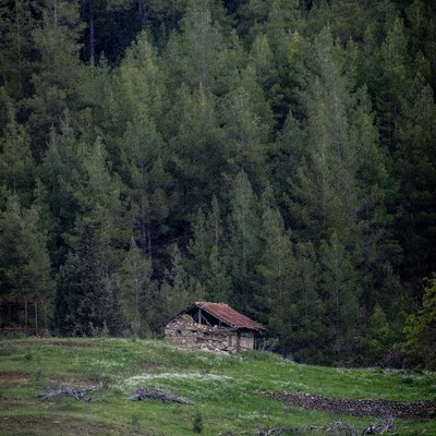 Herkesten nefret ediyorum evi 🌲😊