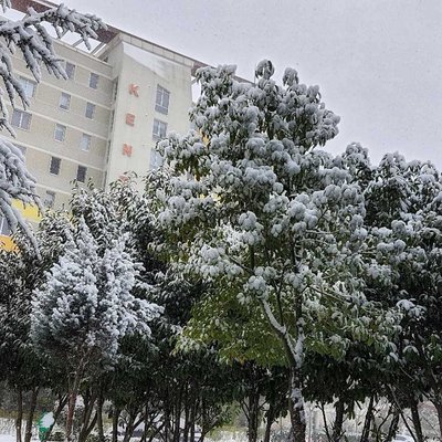 Karlı Günlerden 🌨️ 