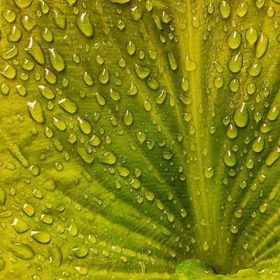 Droplets