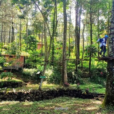 Hutan cempaka