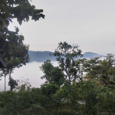 Pemandangan alam
