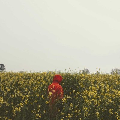 field farmer 