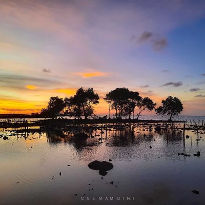 PESONA SENJA