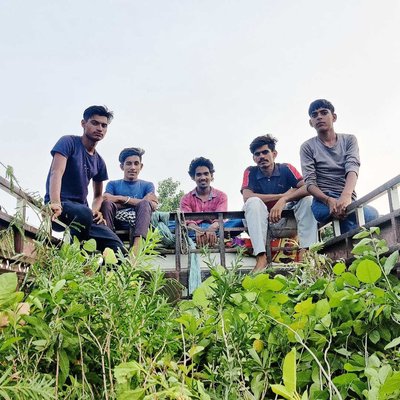 Plants 🌳🌳🌳