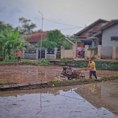membajak sawah