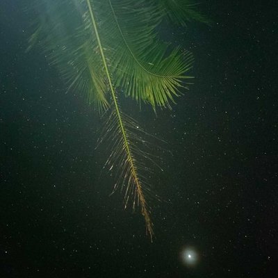 Astrofotografi