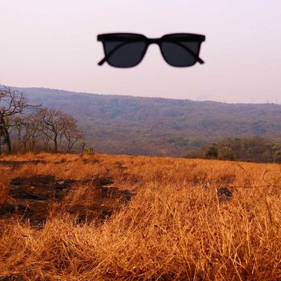 borivali kanheri cave 