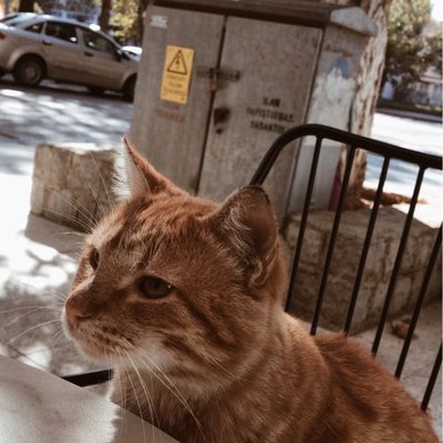 o zaman günün anlam ve önemini bu fotoğrafla anıyorum 