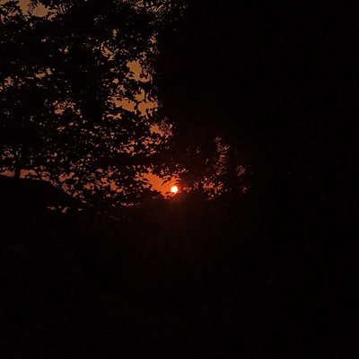 Sunset photography 🌞🧡
