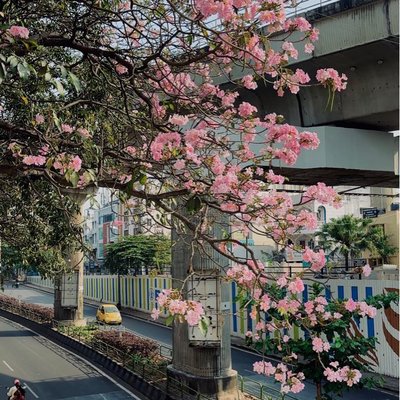 Spring