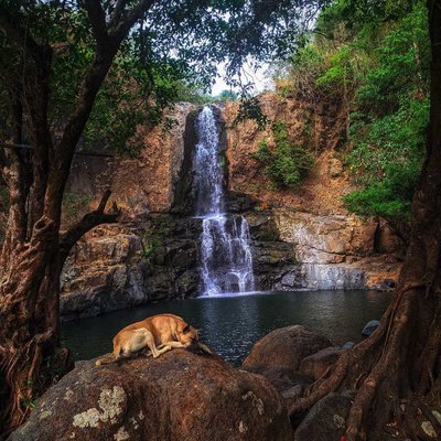 Rest with Amazing View
