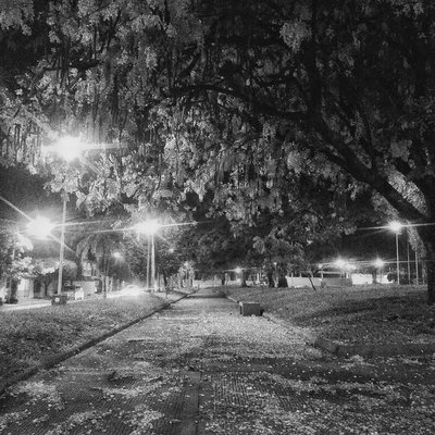 24/12/2023 Tranquilidad