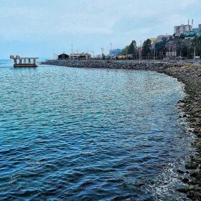 El planchó de los lobos marinos