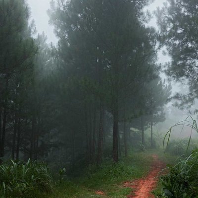 Kabut ... Kanan atau Kiri ??