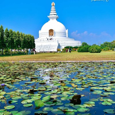 World Peace 🕊️ PAGODA 🤍