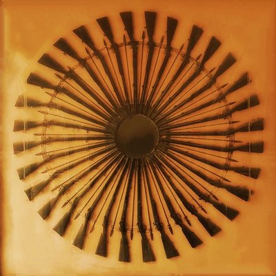 rifles & spears