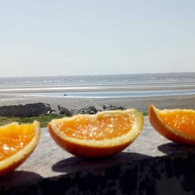 flota naranja