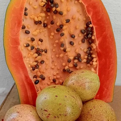 Fruits