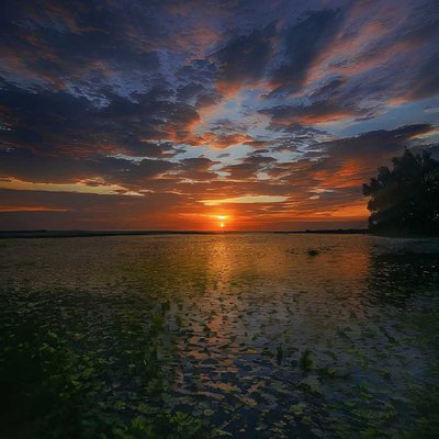enjoy the sunset