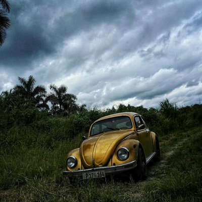 el escarabajo en la campiña