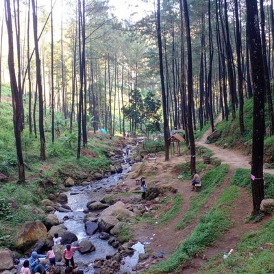 ALIRAN SUNGAI