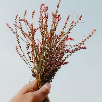 Nature beauty