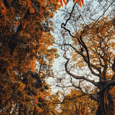Feels like Autumn?