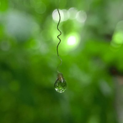 macro photography 