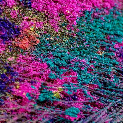 colours