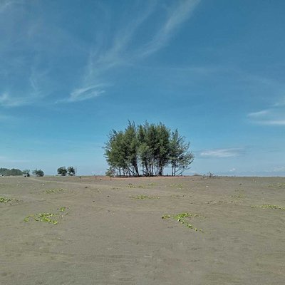 Alone 
