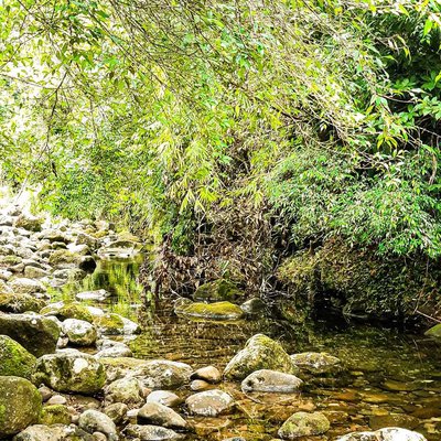 Namurabod buhi Camarines sur ESCAPADE 