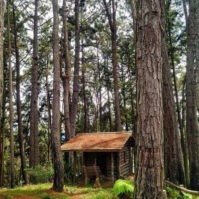The small cabin in the woods.