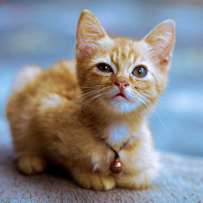 si Oyen