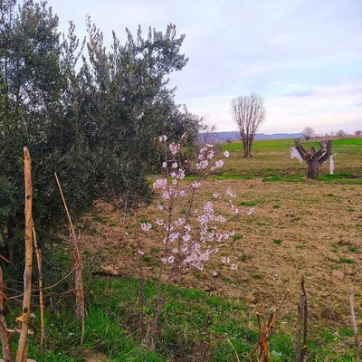 doğa