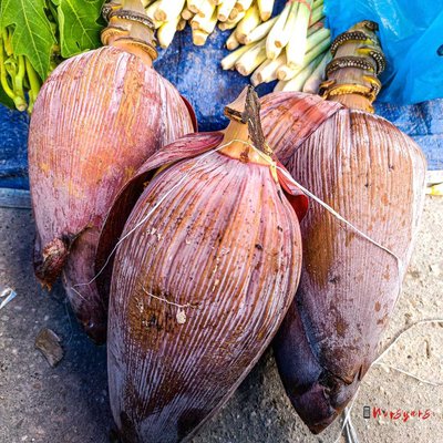Jantung Pisang, Dibuang Padahal Mahal Harganya