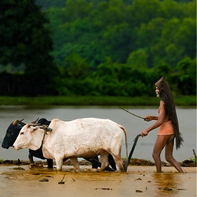 Closer look of agriculture 