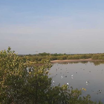 Bahía de Casilda